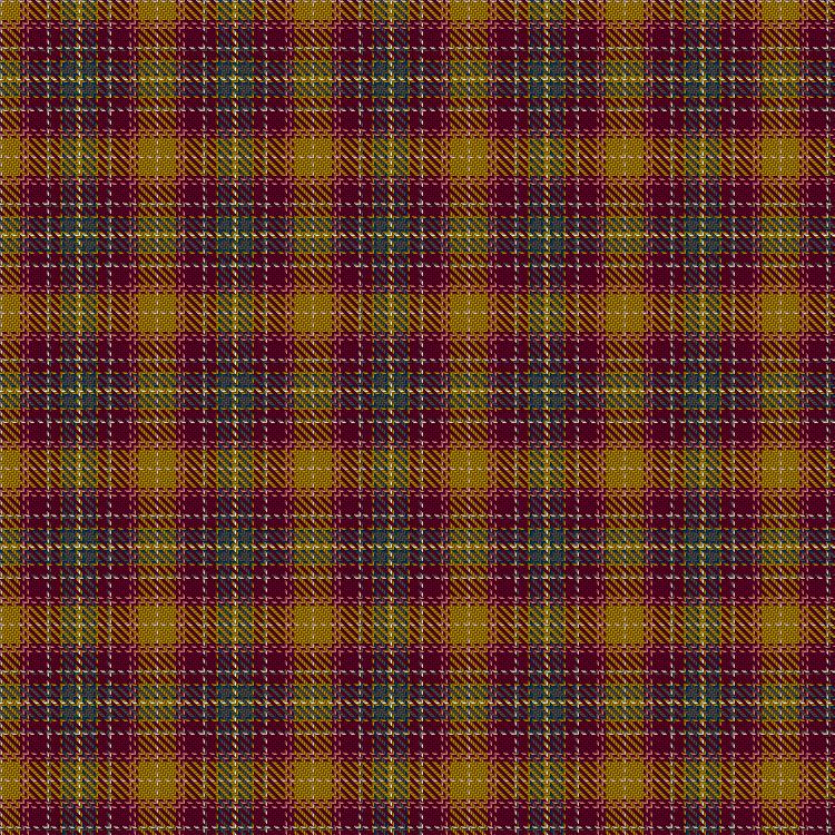 Tartan image: Les Soeurs Nomades (Rannoch Moor). Click on this image to see a more detailed version.