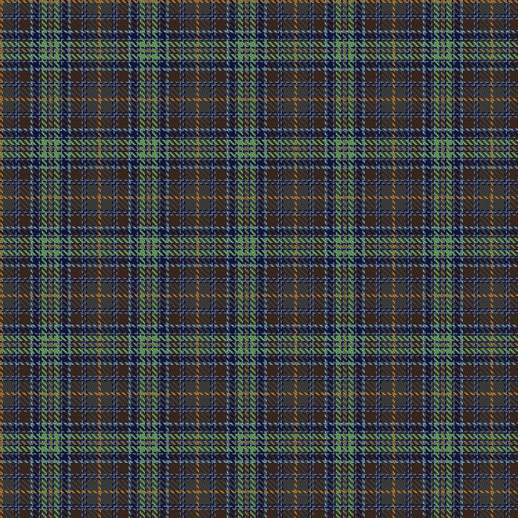 Tartan image: Les Soeurs Nomades (Skye). Click on this image to see a more detailed version.