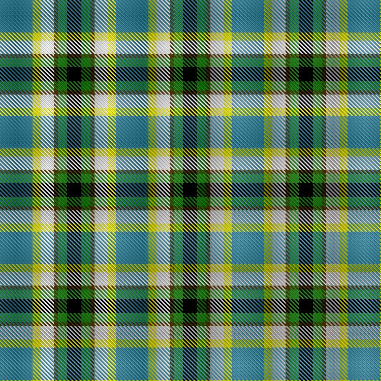 Tartan image: Park Avenue Lodge #362. Click on this image to see a more detailed version.