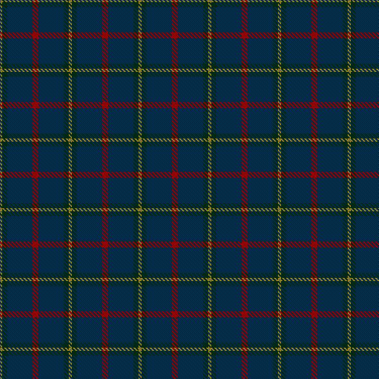 Tartan image: Grosskopf, Wilma (Personal). Click on this image to see a more detailed version.