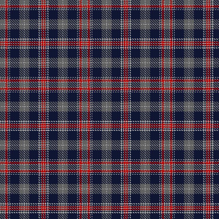 Tartan image: McIngvale, Jim (Personal). Click on this image to see a more detailed version.