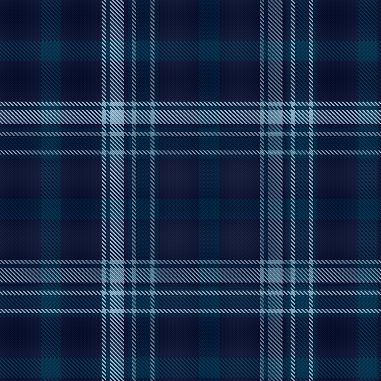 Tartan image: Pride of Primordial. Click on this image to see a more detailed version.