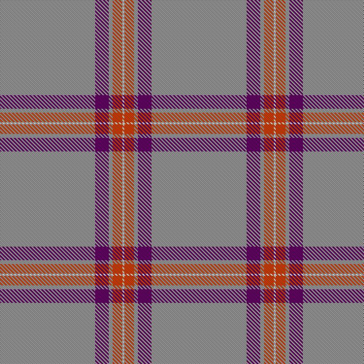 Tartan image: Home-Start Glasgow North. Click on this image to see a more detailed version.