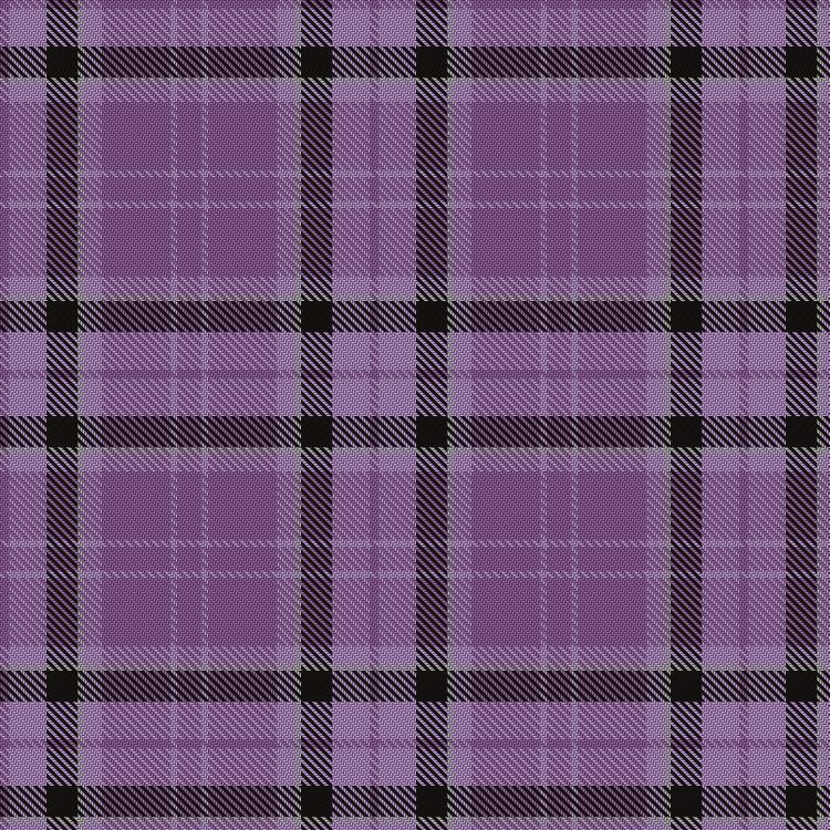 Tartan image: Glasgow Clan Ice Hockey Club. Click on this image to see a more detailed version.