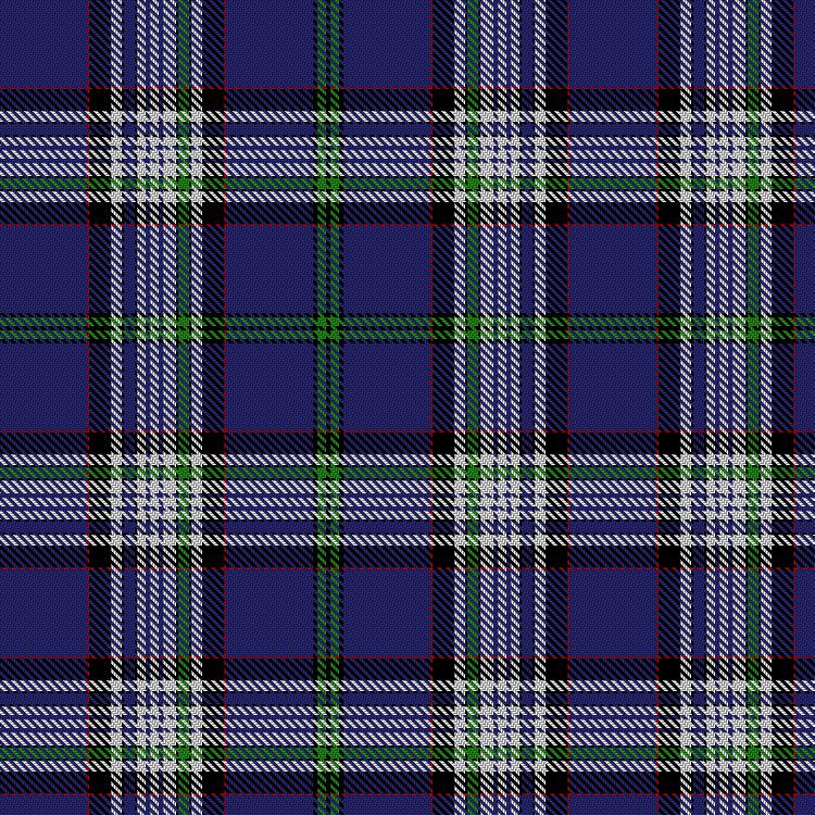 Tartan image: Support in Mind Scotland. Click on this image to see a more detailed version.