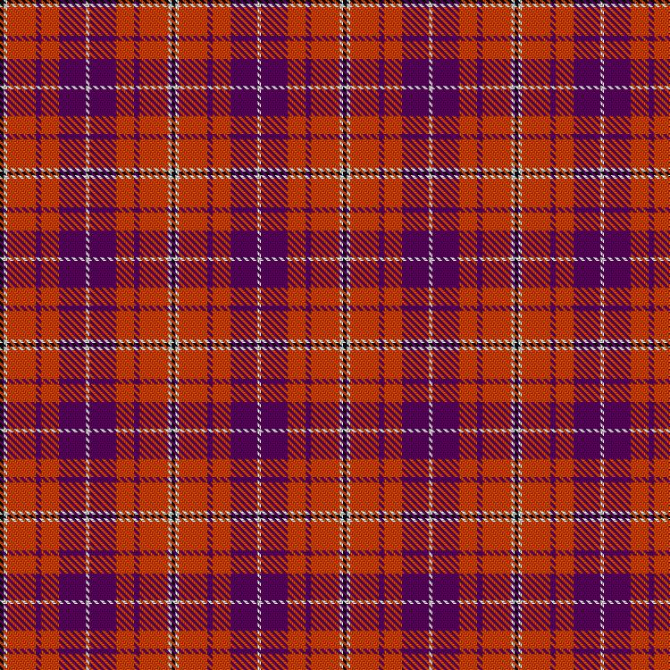 Tartan image: MS Society Scotland. Click on this image to see a more detailed version.