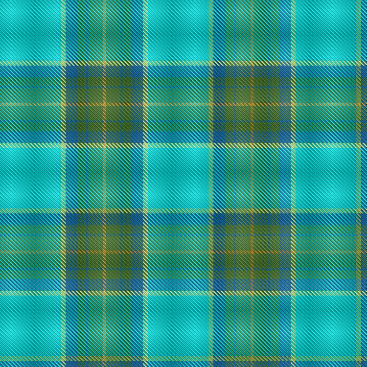 Tartan image: Miracle-Ear. Click on this image to see a more detailed version.