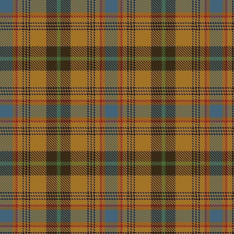 Tartan image: Lüthold, Jasmine (Personal). Click on this image to see a more detailed version.