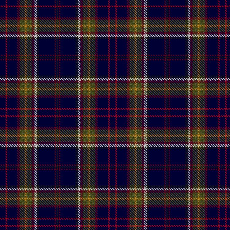 Tartan image: Bailey, Chad (Personal). Click on this image to see a more detailed version.