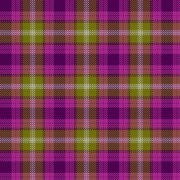 Tartan image: Borderlands. Click on this image to see a more detailed version.