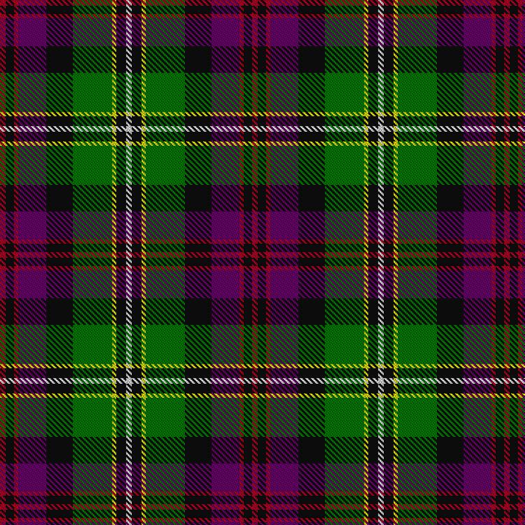 Tartan image: Scout Association of Hong Kong, New Territories Region. Click on this image to see a more detailed version.