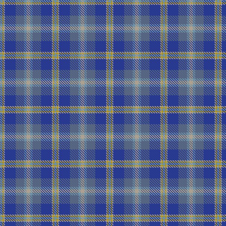 Tartan image: Deaf community (Scotland). Click on this image to see a more detailed version.