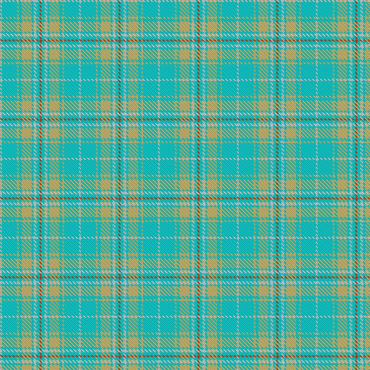 Tartan image: Live Your Life FK. Click on this image to see a more detailed version.