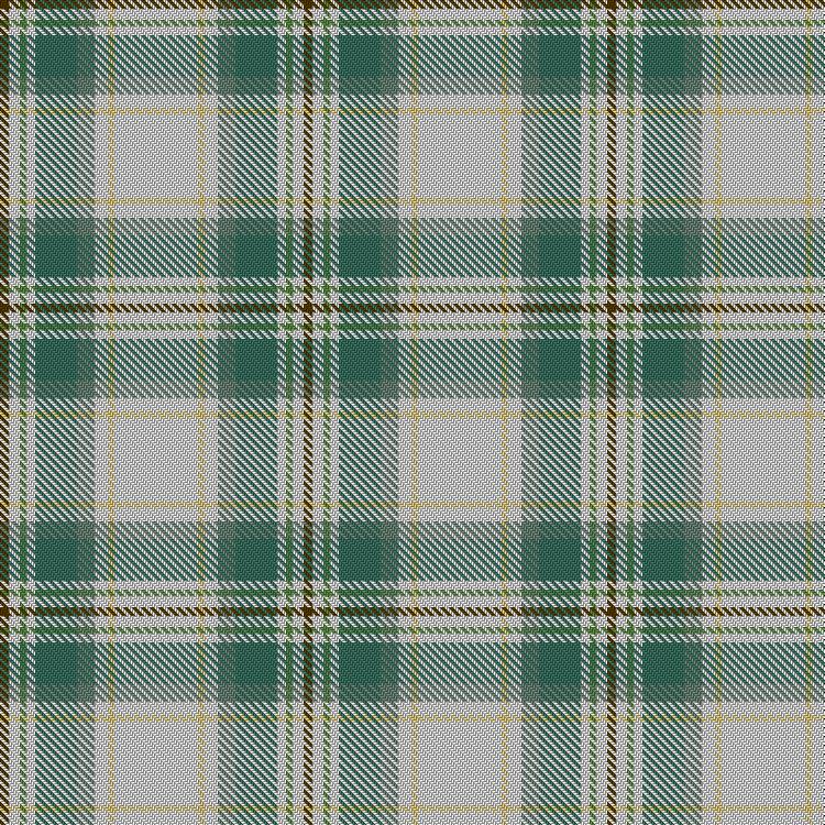 Tartan image: Takimoto Ethical. Click on this image to see a more detailed version.