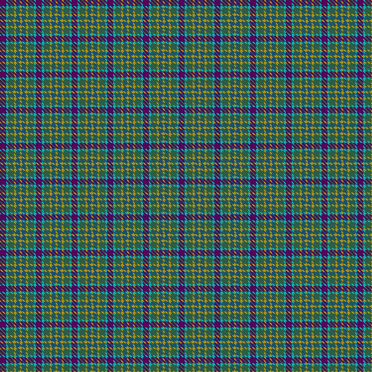 Tartan image: Fintry Primary School (Dundee). Click on this image to see a more detailed version.