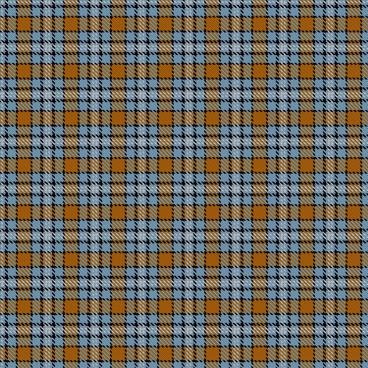 Tartan image: Spirit Of Le Mans (Racing). Click on this image to see a more detailed version.