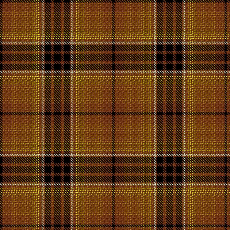 Tartan image: Digital Gold. Click on this image to see a more detailed version.