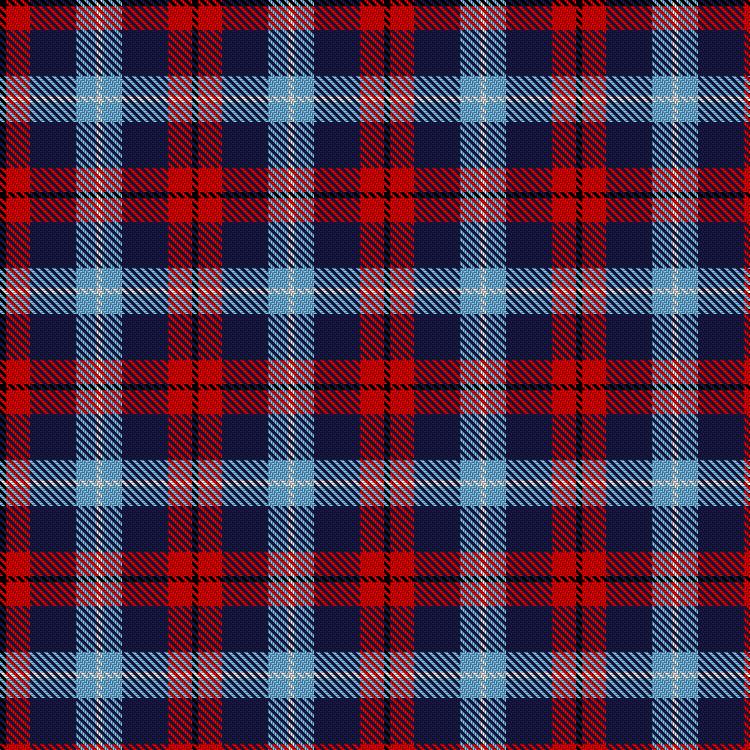 Tartan image: SSAFA. Click on this image to see a more detailed version.