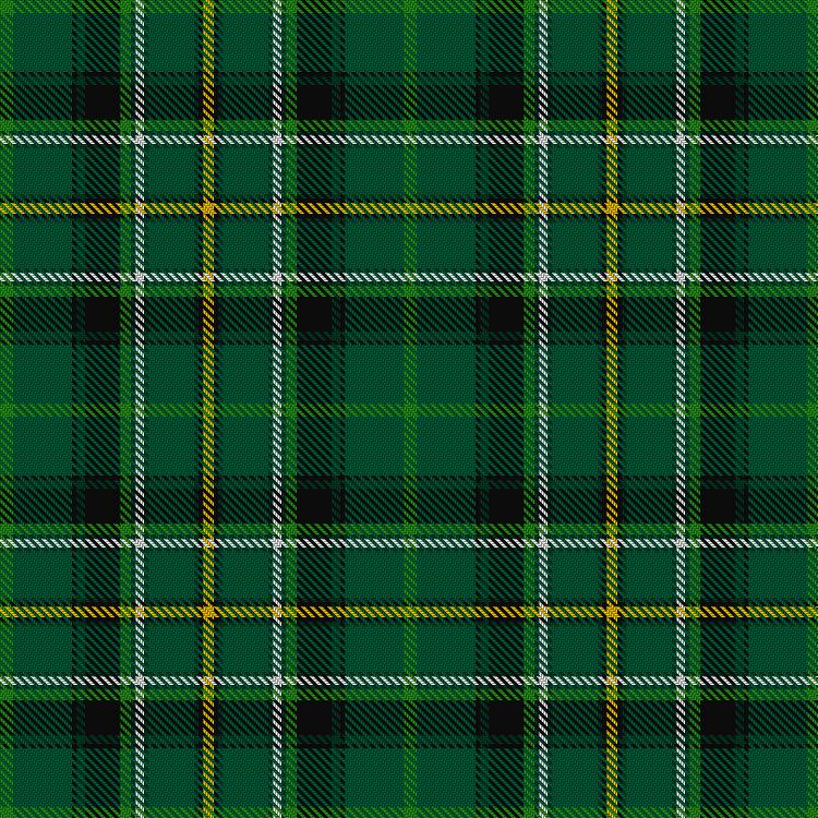 Tartan image: Celtic Football Club. Click on this image to see a more detailed version.