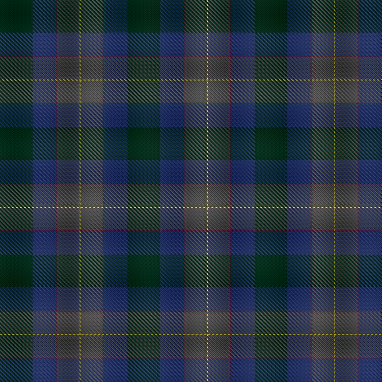 Tartan image: Waldron, Lia  (Personal). Click on this image to see a more detailed version.