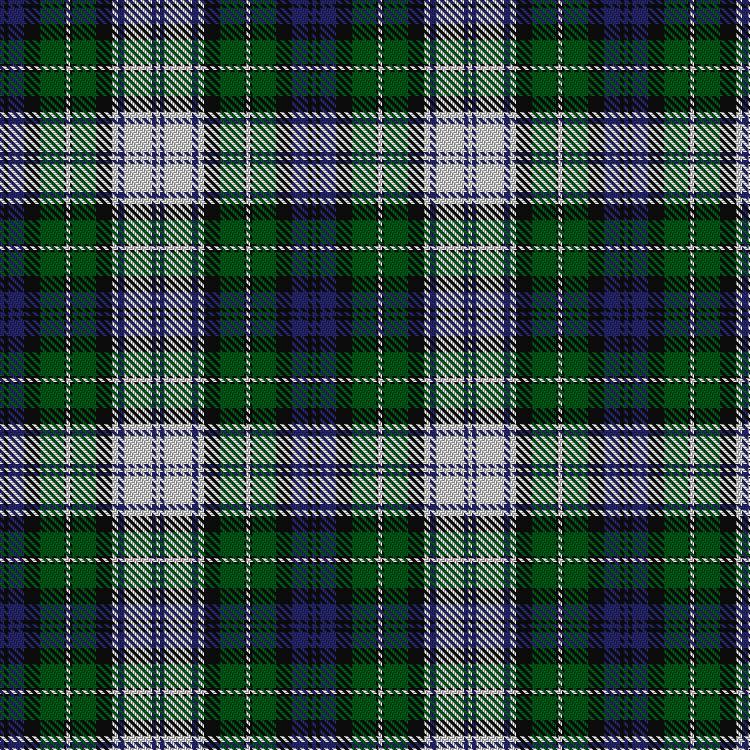 Tartan image: Forbes Dress. Click on this image to see a more detailed version.