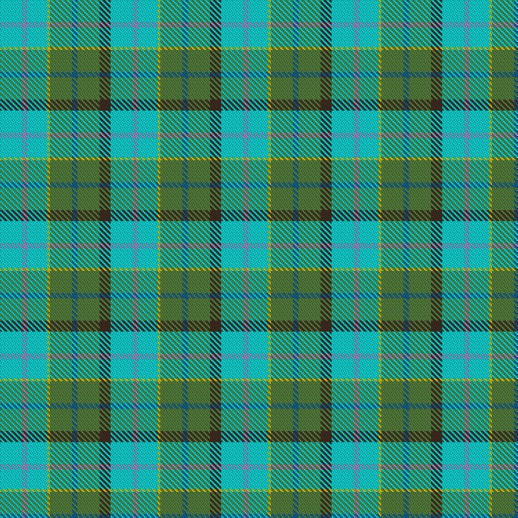 Tartan image: Aylsham. Click on this image to see a more detailed version.