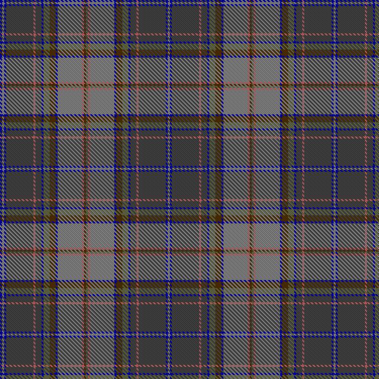 Tartan image: Buchan, Alistair and Abbie (Personal). Click on this image to see a more detailed version.
