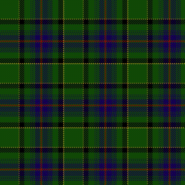 Tartan image: Beddison, Tony and Robyn (Personal). Click on this image to see a more detailed version.