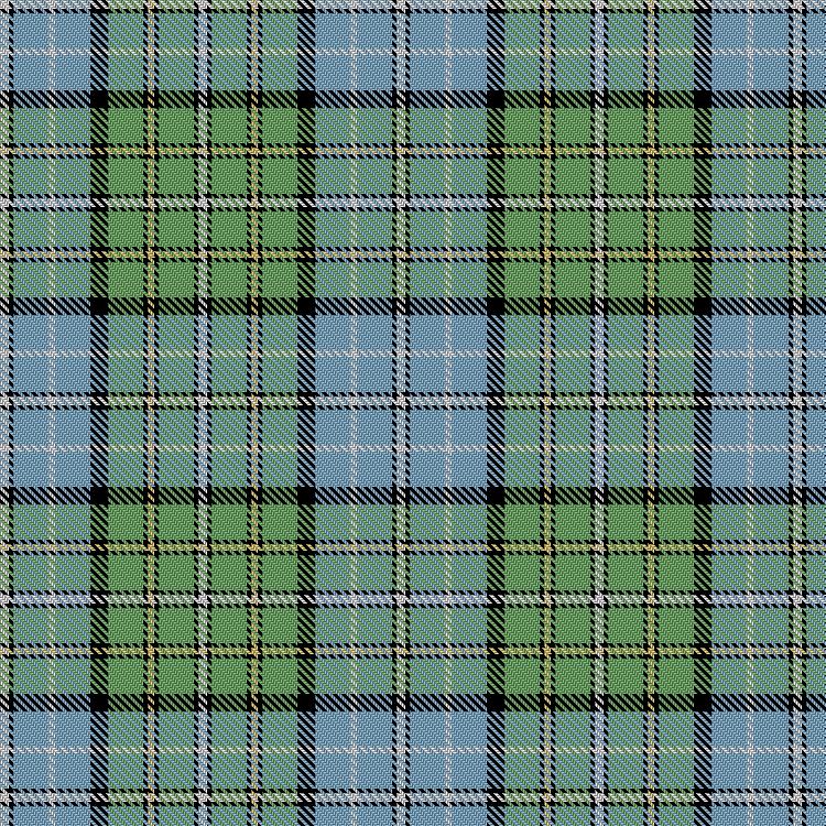 Tartan image: Jekyll Island. Click on this image to see a more detailed version.