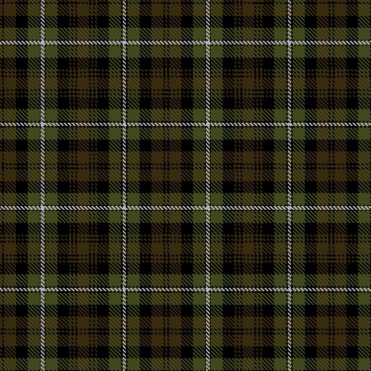 Tartan image: Forbes of Druminnor. Click on this image to see a more detailed version.