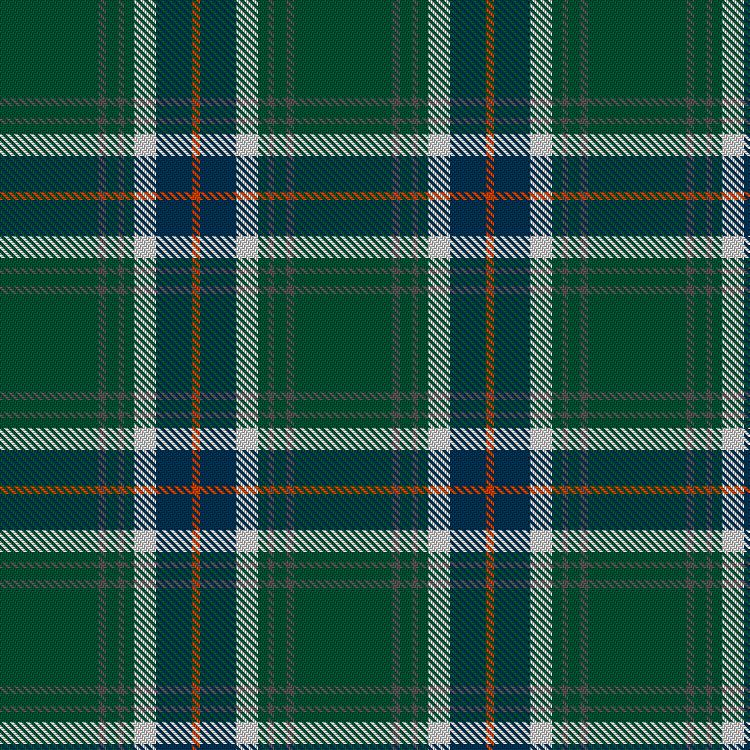 Tartan image: McCluney, William (Personal). Click on this image to see a more detailed version.