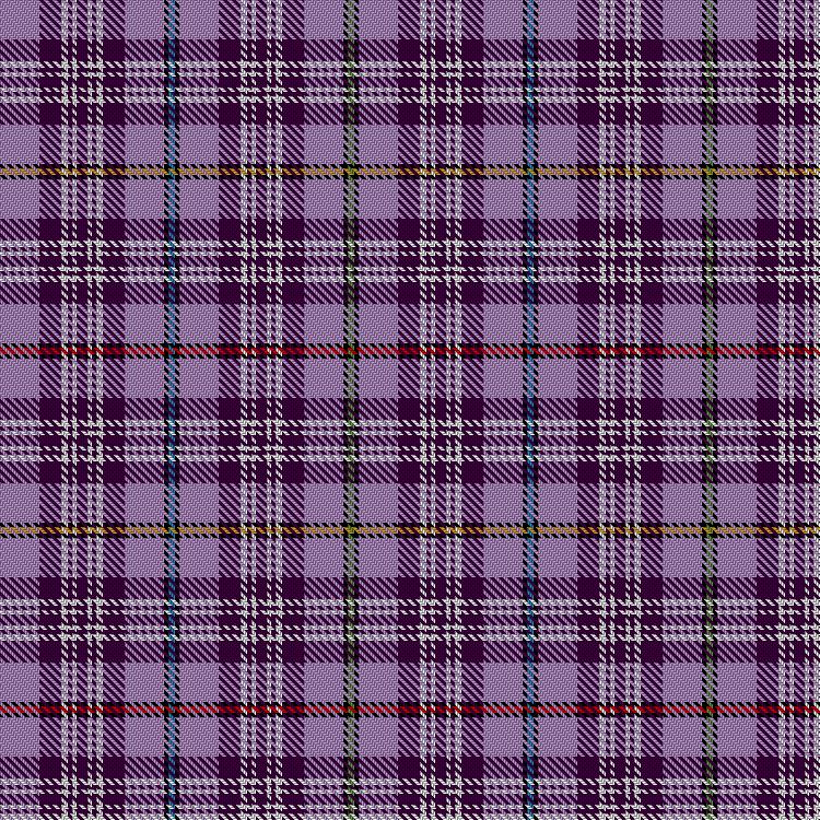 Tartan image: Chapman, Christopher E (Personal). Click on this image to see a more detailed version.
