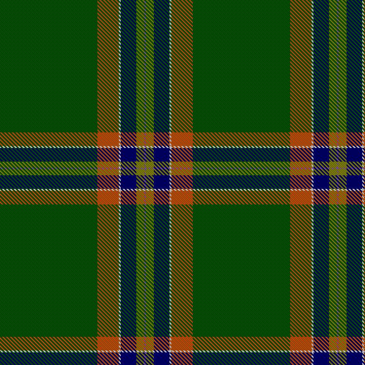 Tartan image: DFS (Donald from Skye). Click on this image to see a more detailed version.