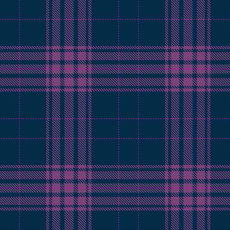 Tartan image: Knight Property Group. Click on this image to see a more detailed version.