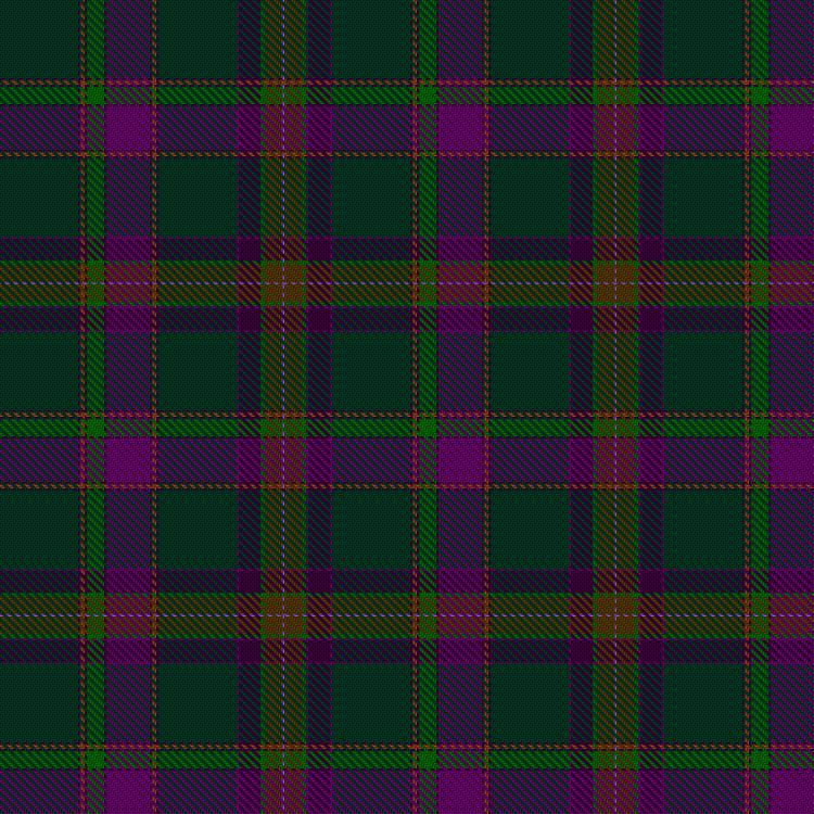 Tartan image: Evaristo da Costa, Carlos (Personal). Click on this image to see a more detailed version.
