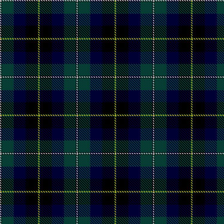 Tartan image: Schneller, Ronald Glen, holder of the feudal barony of Loudoun (Personal). Click on this image to see a more detailed version.
