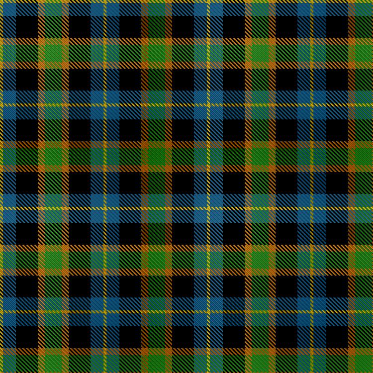 Tartan image: Bergslagen Flag. Click on this image to see a more detailed version.