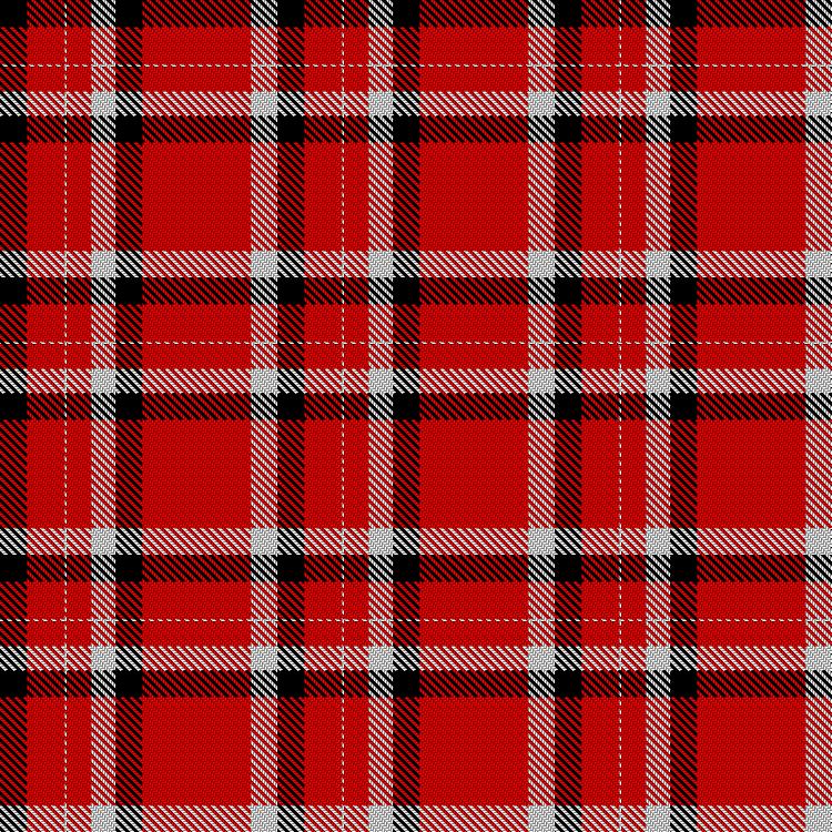 Tartan image: Snowball, Neil & Joanne (Personal). Click on this image to see a more detailed version.
