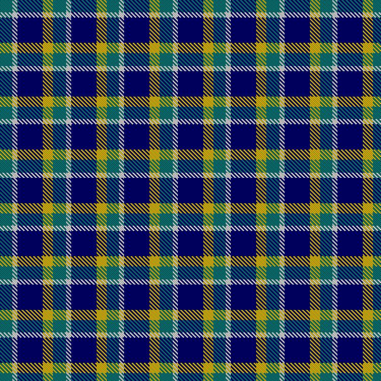 Tartan image: Johnston, Timothy (Personal). Click on this image to see a more detailed version.