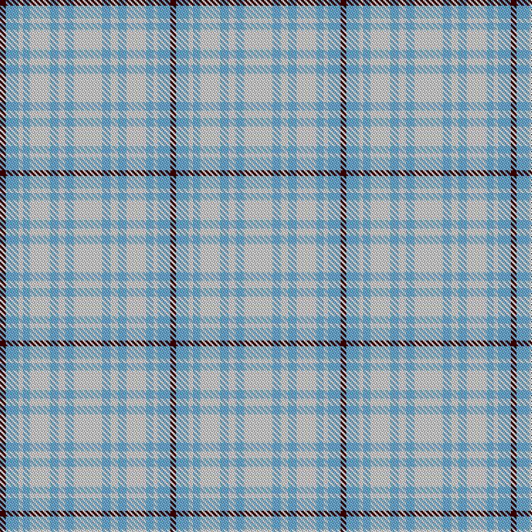 Tartan image: James, Bryan (Personal). Click on this image to see a more detailed version.