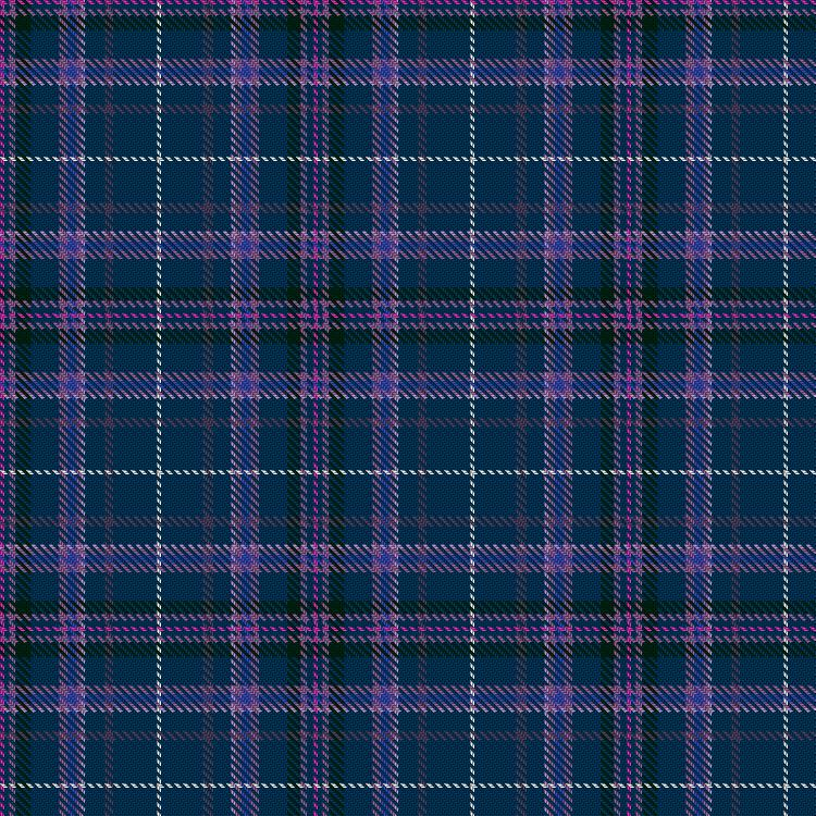 Tartan image: Longmuir, Alan (Personal). Click on this image to see a more detailed version.
