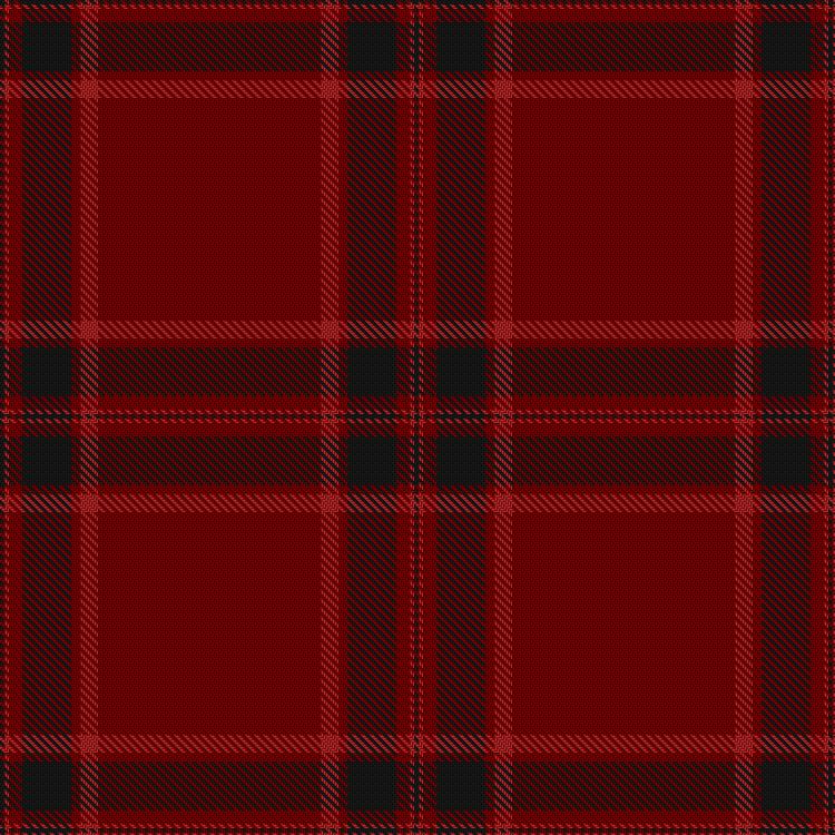 Tartan image: Mary, Queen of Scots Enterprises Ltd. Click on this image to see a more detailed version.