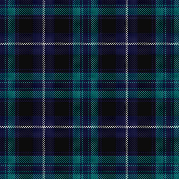 Tartan image: Neilson, James Andrew (Personal). Click on this image to see a more detailed version.