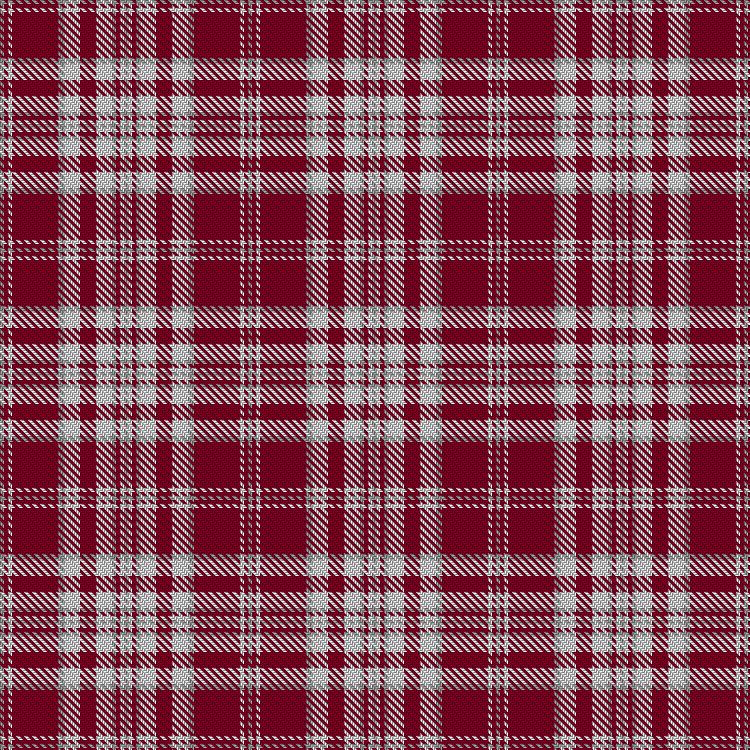 Tartan image: Ergo Club. Click on this image to see a more detailed version.