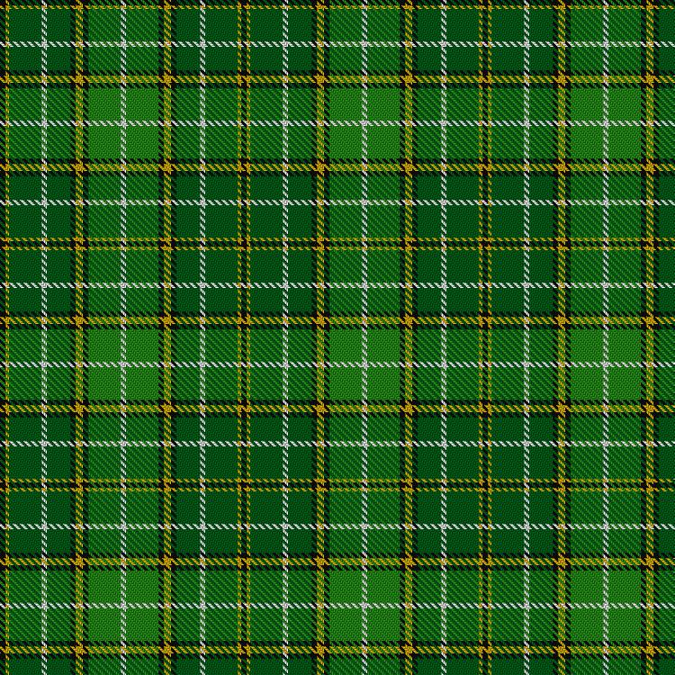 Tartan image: Forrester/Foster Hunting. Click on this image to see a more detailed version.