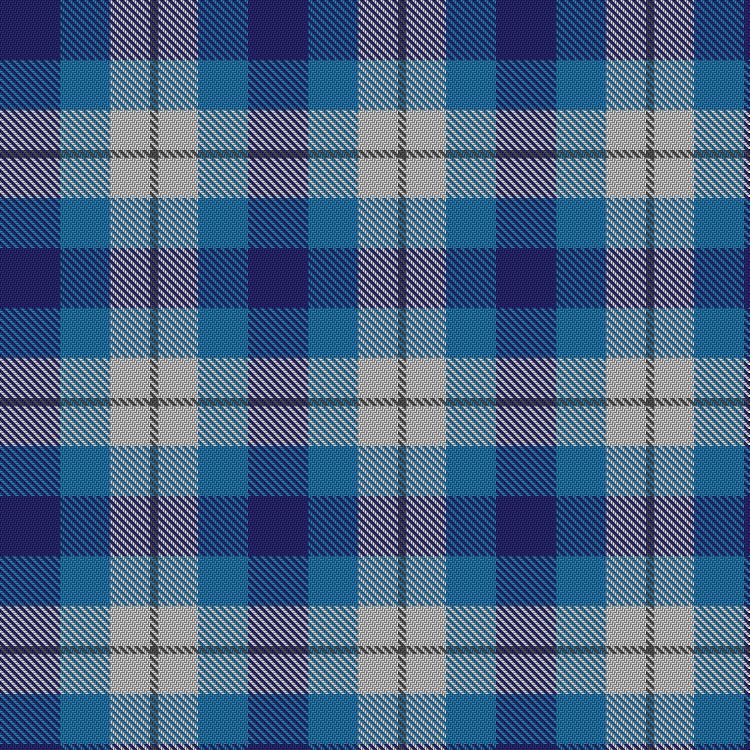 Tartan image: Silvercoin. Click on this image to see a more detailed version.