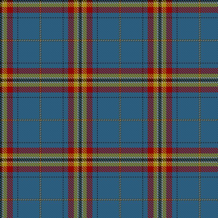 Tartan image: World Wide Web 30th Anniversary, The. Click on this image to see a more detailed version.