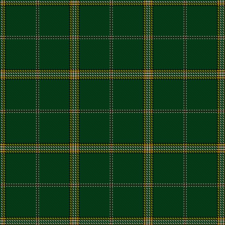 Tartan image: Internet 30th Anniversary, The. Click on this image to see a more detailed version.