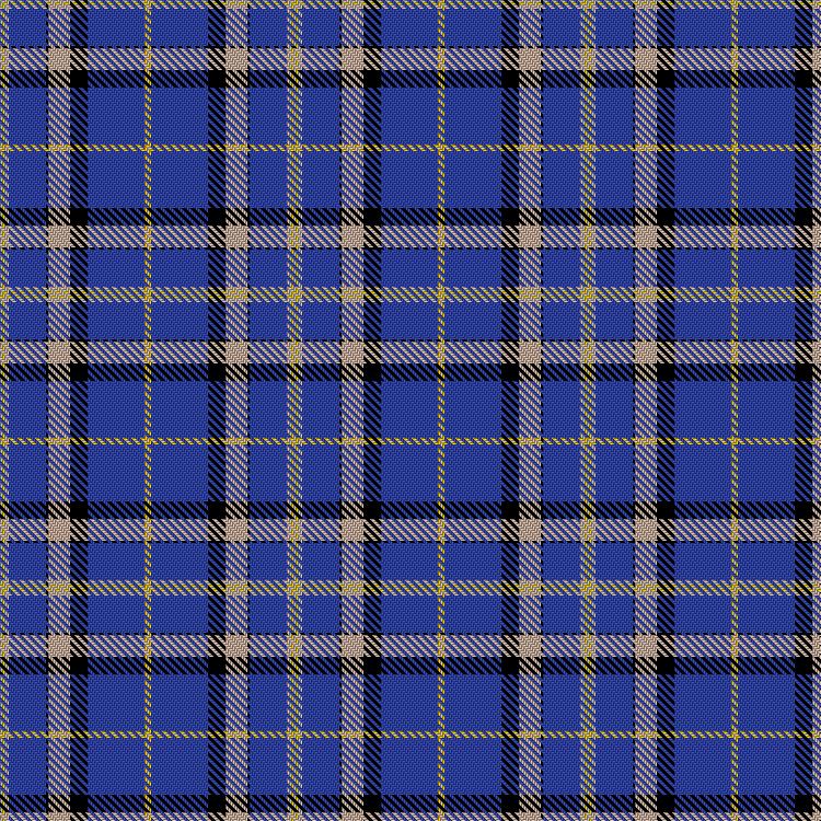 Tartan image: Eva, Edward (Personal). Click on this image to see a more detailed version.