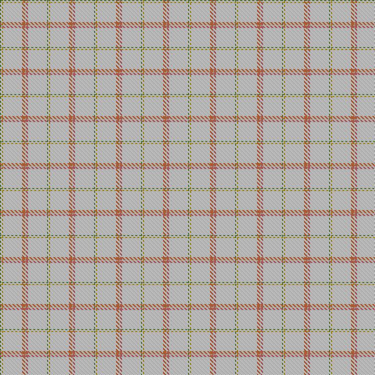 Tartan image: Miss Jenny. Click on this image to see a more detailed version.